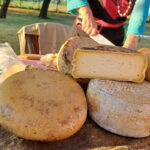 Cheese and charcuterie Products