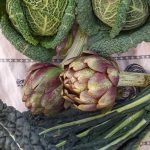 Fruits and vegetables