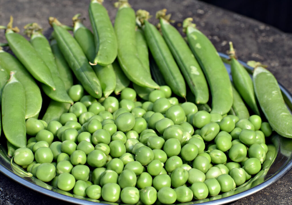 Fruits and Vegetables