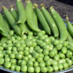 Fruits and Vegetables