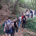 hiking_foraging_img1