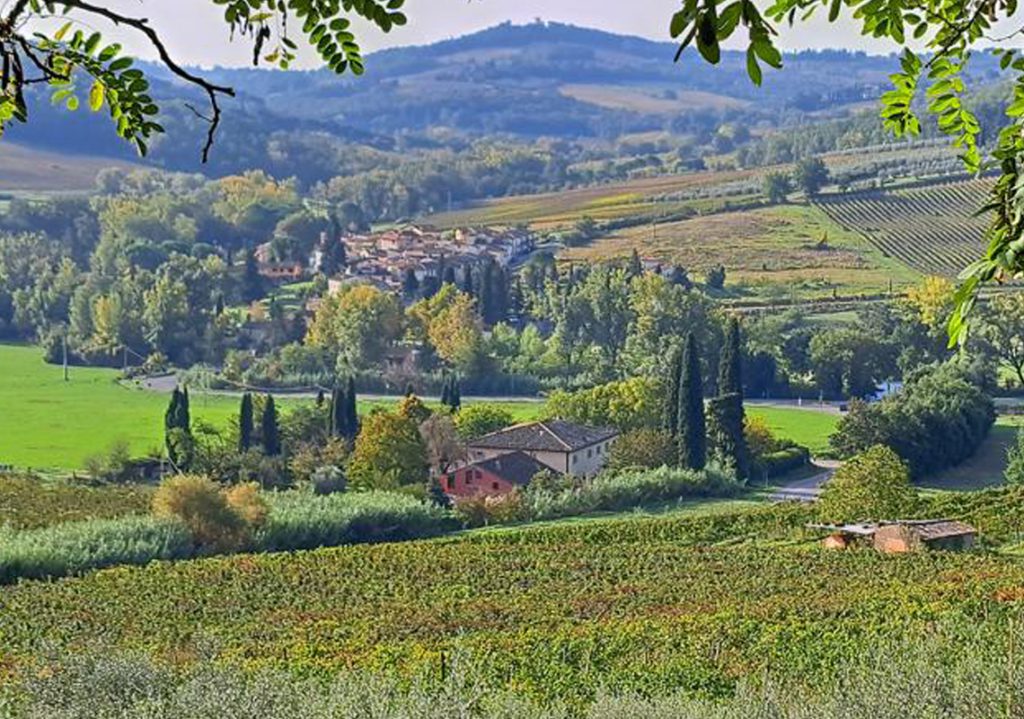 hiking_foraging_img3