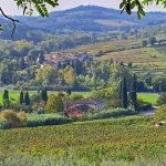 hiking_foraging_img3