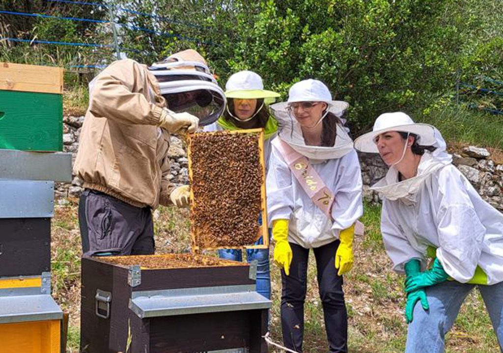 rural_food_farm_img1