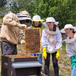 rural_food_farm_img1