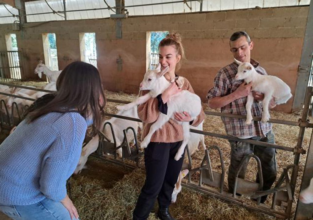 rural_food_farm_img4