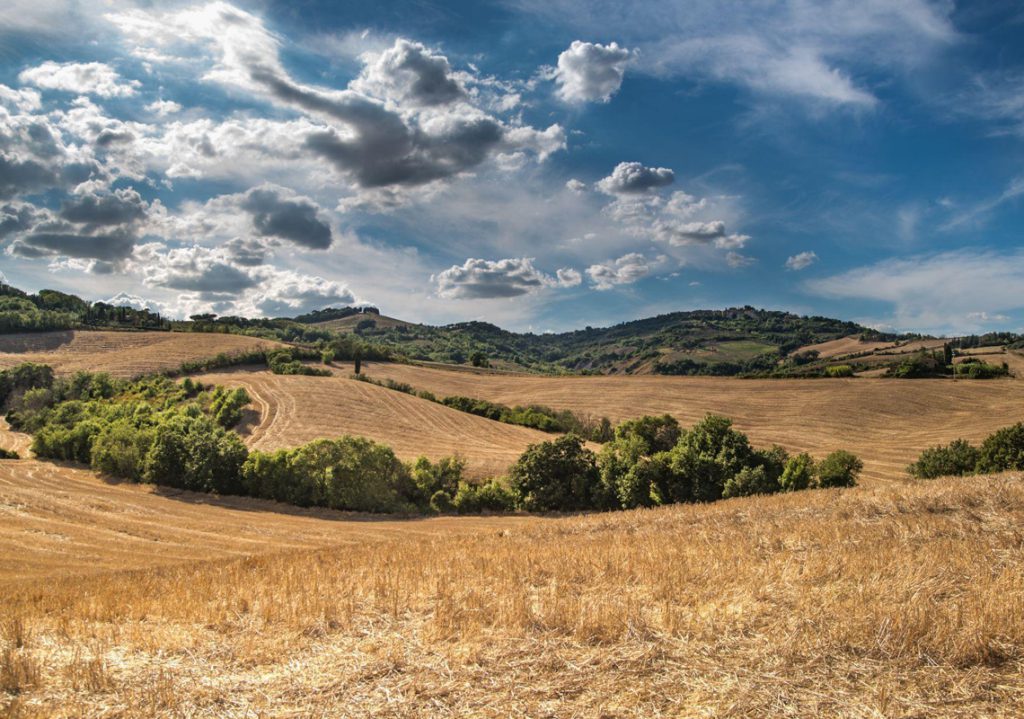 Donne della Terra – Un Omaggio alle Artigiane della Toscana Rurale