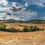 Donne della Terra – Un Omaggio alle Artigiane della Toscana Rurale