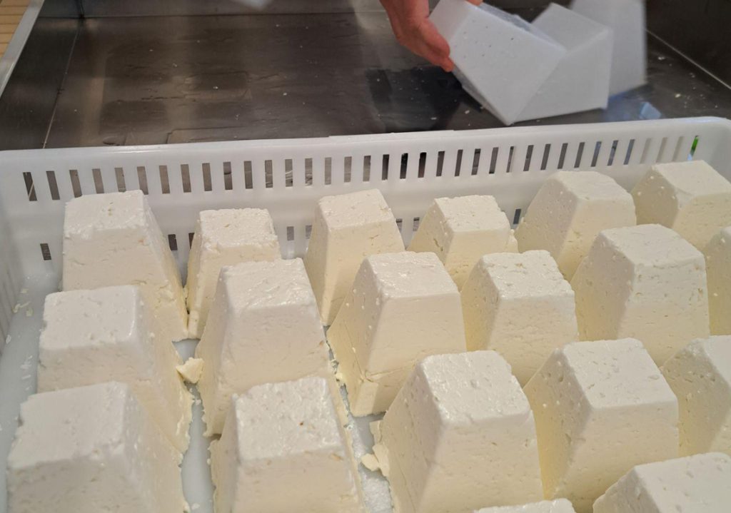 A Hands-On Cheese-Making Workshop