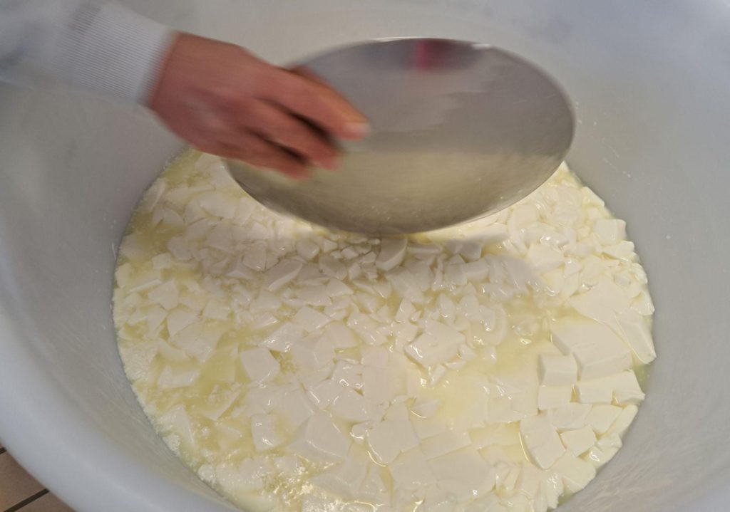 A Hands-On Cheese-Making Workshop