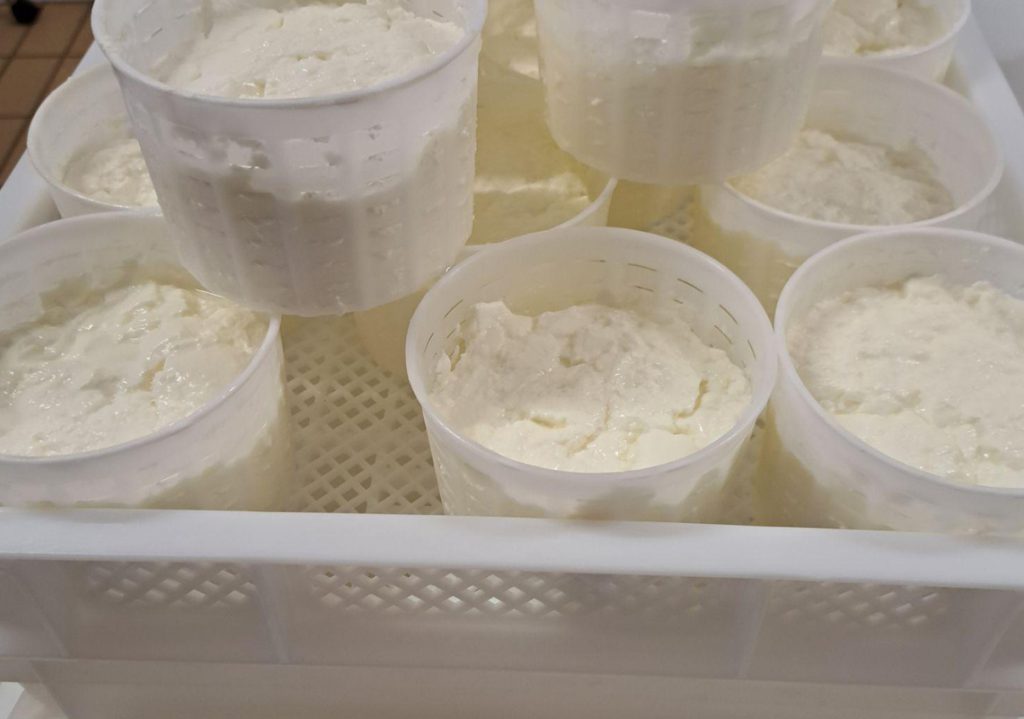 A Hands-On Cheese-Making Workshop
