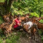 Una Giornata con le Capre Apuane – Formaggi, Natura e Storie Locali