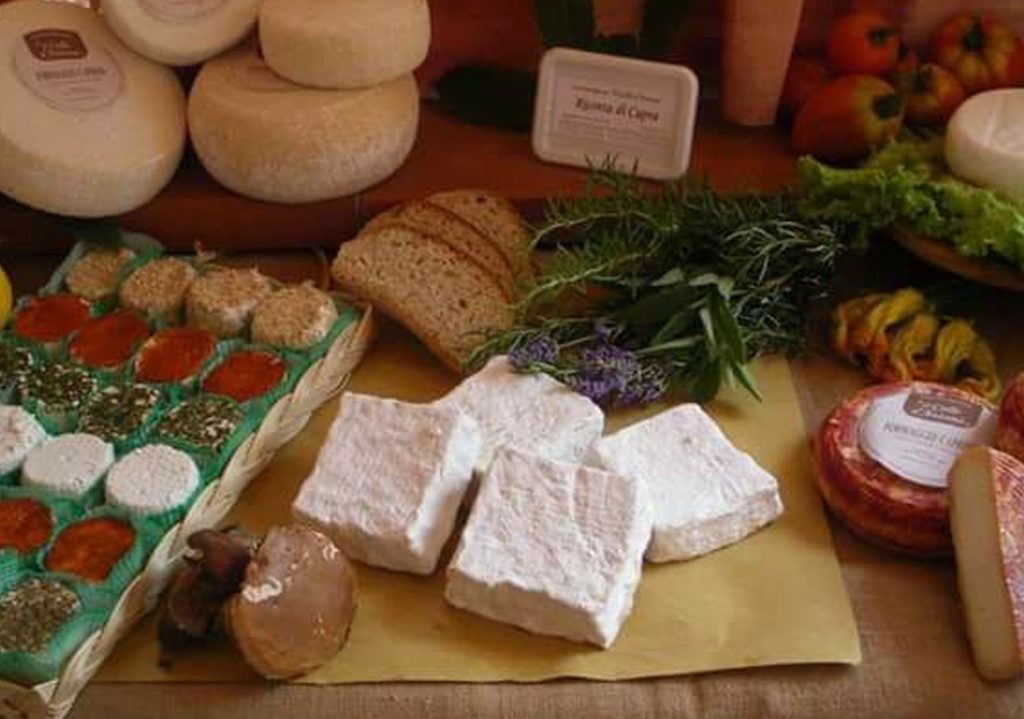 Una Giornata con le Capre Apuane – Formaggi, Natura e Storie Locali