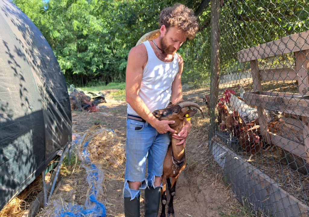 Una Mattina in fattoria!